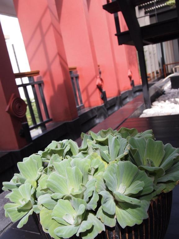 Loogchoob Homestay Bangkok Eksteriør bilde